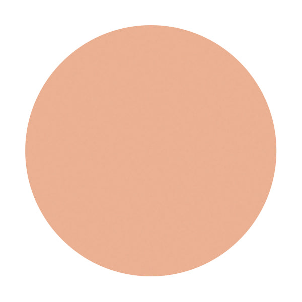 資生堂 スポッツカバー ファウンデイション ベースカラー(部分用)H100