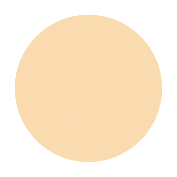 資生堂 スポッツカバー ファウンデイション(コントロールカラー) C2