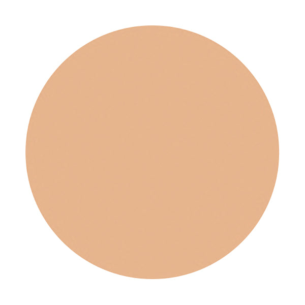 マキアージュ コンシーラースティック EX(2 ナチュラル)